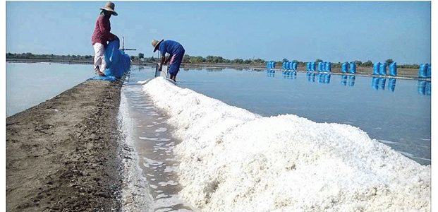 Tahun 2016 Target Produksi Garam Tak Tercapai, KKP akan Bangun 6 Gudang Baru Tahun 2016 Target Produksi Garam Tak Tercapai, KKP akan Bangun 6 Gudang Baru