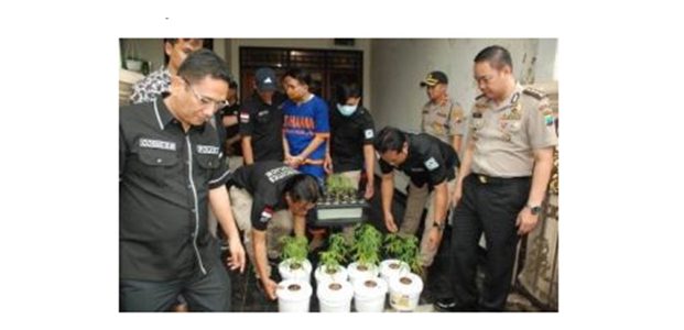 Pria ini Tanam 27 Batang Ganja di Rumahnya dengan Metode Hidroponik Pria ini Tanam 27 Batang Ganja di Rumahnya dengan Metode Hidroponik