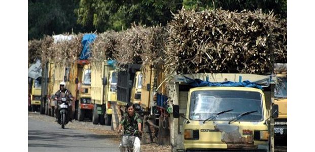 Ada Upaya Monopoli, Petani Tebu Ancam Boikot Suplai Bahan Baku Gula. Ada Upaya Monopoli, Petani Tebu Ancam Boikot Suplai Bahan Baku Gula.