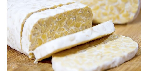 Tempe, Sudah Layak Go Internasional Tempe, Sudah Layak Go Internasional