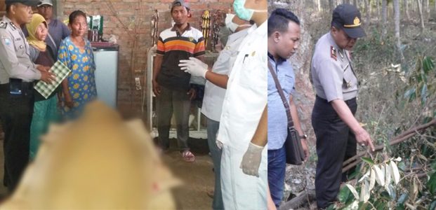 Terjatuh dari Pohon Duren, Pria asal Sekar Bojonegoro Tewas Seketika Terjatuh dari Pohon Duren, Pria asal Sekar Bojonegoro Tewas Seketika