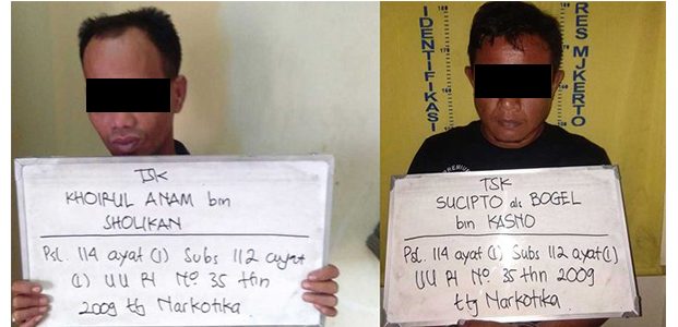 Terlibat Jaringan Sabu, 2 PNS Pemkab Mojokerto Diciduk Terlibat Jaringan Sabu, 2 PNS Pemkab Mojokerto Diciduk
