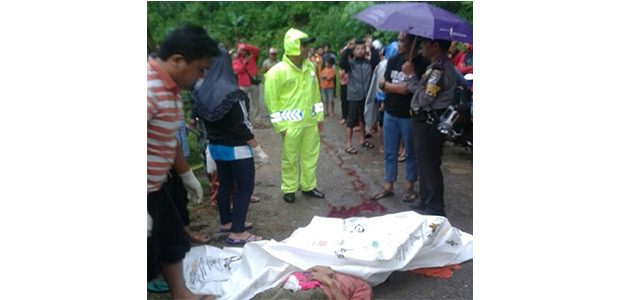 Tertimpa Dahan Pohon, Wanita Pengendara Motor di Ponorogo Tewas Seketika Tertimpa Dahan Pohon, Wanita Pengendara Motor di Ponorogo Tewas Seketika