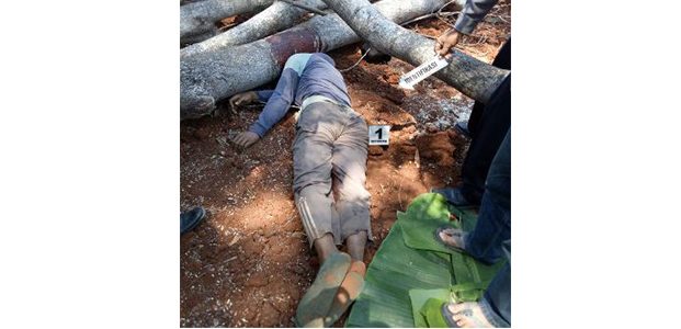 Tertimpa Pohon Yang Ditebang, Pria asal Kerek Tuban Tewas Seketika Tertimpa Pohon Yang Ditebang, Pria asal Kerek Tuban Tewas Seketika