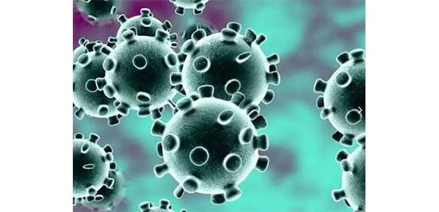 Tim Peneliti Unair Temukan 5 Senyawa Untuk Obat Corona