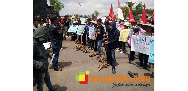 Tuntut Hentikan Pengalihan HGU Perkebunan, Massa FPPM Geruduk Kantor Pemkab Blitar Tuntut Hentikan Pengalihan HGU Perkebunan, Massa FPPM Geruduk Kantor Pemkab Blitar