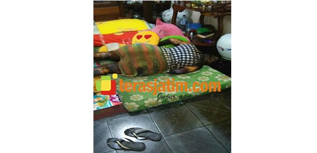 Wanita Pemilik Toko di Bondowoso, Ditemukan Anaknya Sudah Menjadi Mayat Wanita Pemilik Toko di Bondowoso, Ditemukan Anaknya Sudah Menjadi Mayat