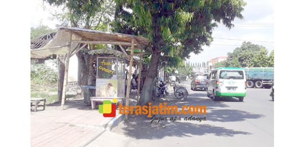 Warga Keluhkan Banyaknya Trotoar di Situbondo Yang Digunakan PKL Warga Keluhkan Banyaknya Trotoar di Situbondo Yang Digunakan PKL