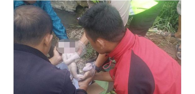 Warga Siraman Kesamben Blitar Temukan Mayat Bayi di Pinggir Sawah Warga Siraman Kesamben Blitar Temukan Mayat Bayi di Pinggir Sawah