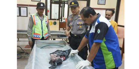 Warga Diwek Jombang Temukan Mayat Bayi Laki-Laki Dalam Plastik Kresek