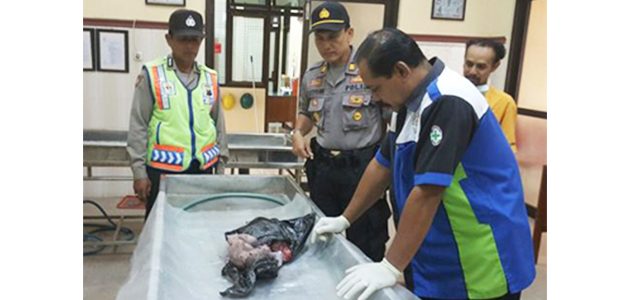Warga Diwek Jombang Temukan Mayat Bayi Laki-Laki Dalam Plastik Kresek Warga Diwek Jombang Temukan Mayat Bayi Laki-Laki Dalam Plastik Kresek