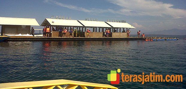 Wisata Laut Bangsring Underwater (Bunder) Wisata Laut Bangsring Underwater (Bunder)
