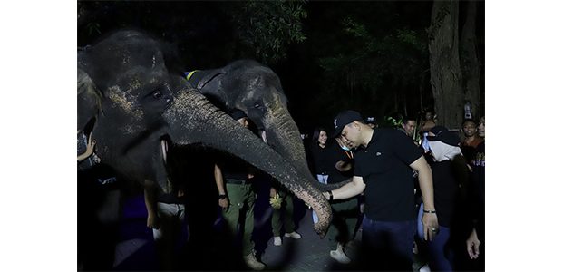 KBS Gelar Trial Opening Surabaya Night Zoo