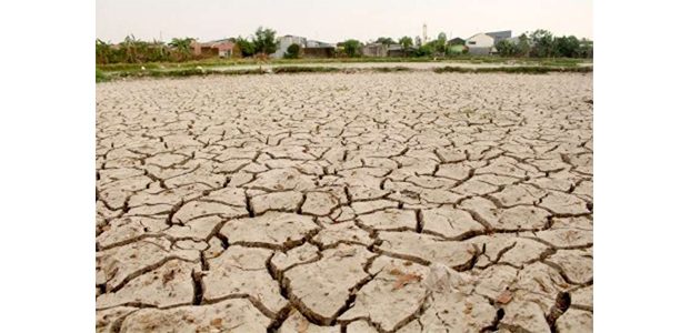 800 Lebih Desa di Jatim Alami Kekeringan 800 Lebih Desa di Jatim Alami Kekeringan