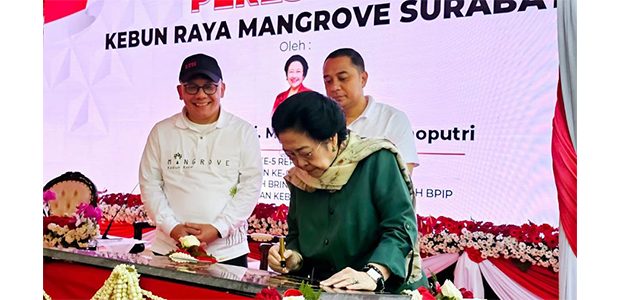Diresmikan Megawati, Cak Eri: Pembangunan Kebun Raya Mangrove Surabaya Penuh Perjuangan