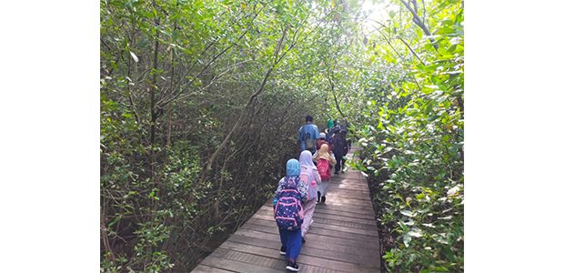 Dalam Sebulan, Pengunjung Kebun Raya Mangrove (KRM) Gunung Anyar Mencapai 6 Ribu Orang Dalam Sebulan, Pengunjung Kebun Raya Mangrove (KRM) Gunung Anyar Mencapai 6 Ribu Orang