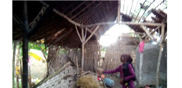 Angin Puting Beliung Landa Wilayah Balen Bojonegoro Angin Puting Beliung Landa Wilayah Balen Bojonegoro