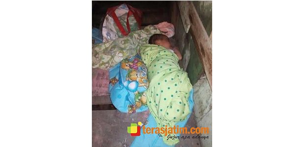 Di Bojonegoro, Bayi Umur 2 Minggu Dibuang di Depan Warung Di Bojonegoro, Bayi Umur 2 Minggu Dibuang di Depan Warung