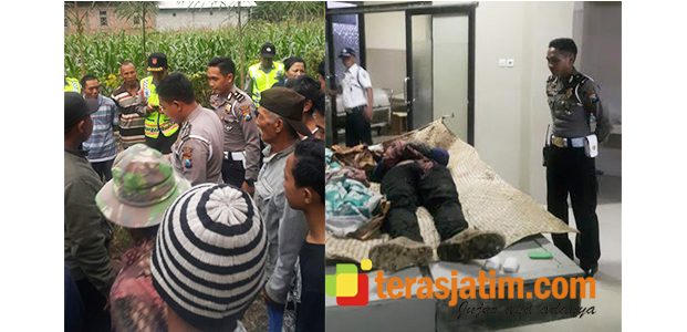 Truk Bermuatan Tebu Terperosok Di Wonotirto Blitar, 2 Orang Tewas Tergencet Truk Bermuatan Tebu Terperosok Di Wonotirto Blitar, 2 Orang Tewas Tergencet