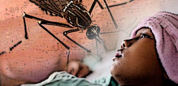 Mengenal Lebih Intim Kasus DBD di Pacitan, Daruratkah? Mengenal Lebih Intim Kasus DBD di Pacitan, Daruratkah?