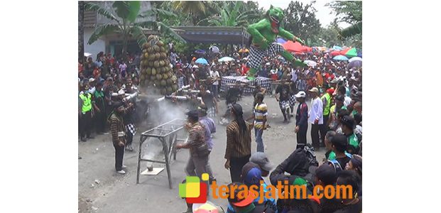 Riuhnya ‘Festival Durian’ di Sumbersari Blitar Riuhnya ‘Festival Durian’ di Sumbersari Blitar