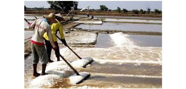 Anomali Cuaca, Produksi Garam Madura Anjlok Anomali Cuaca, Produksi Garam Madura Anjlok