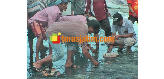 Diduga Keracunan Limbah Industri, Ribuan Ikan di Perairan Paciran Lamongan Mati Diduga Keracunan Limbah Industri, Ribuan Ikan di Perairan Paciran Lamongan Mati