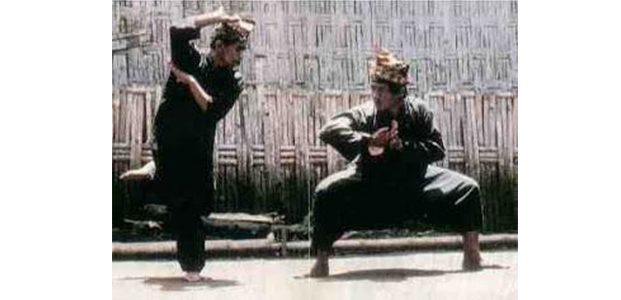 Tak Lama Lagi, Bojonegoro Akan Deklarasikan Kampung Pesilat Tak Lama Lagi, Bojonegoro Akan Deklarasikan Kampung Pesilat
