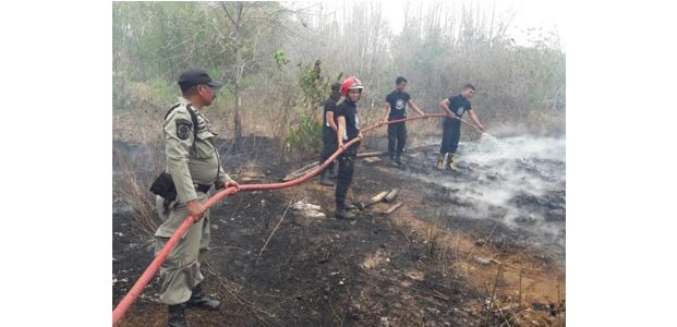 Kebakaran di Panji Situbondo, Anakan Ayam Sekandang Ludes Terbakar Kebakaran di Panji Situbondo, Anakan Ayam Sekandang Ludes Terbakar