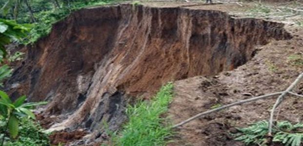 8 Wilayah di Banyuwangi, Rawan Banjir dan Longsor 8 Wilayah di Banyuwangi, Rawan Banjir dan Longsor