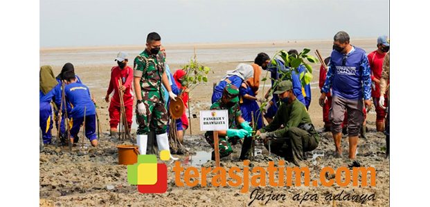 Pangdam Pimpin Penanaman Bibit Mangrove di Bangkalan