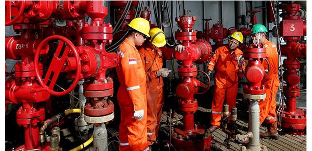Harga Minyak Anjlok, Perusahaan Migas Moratorium Pegawai Harga Minyak Anjlok, Perusahaan Migas Moratorium Pegawai