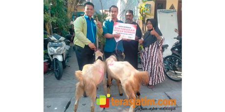 MPM Honda Jatim Konsisten Berbagi Hewan Kurban, Pererat Kebersamaan dengan Masyarakat