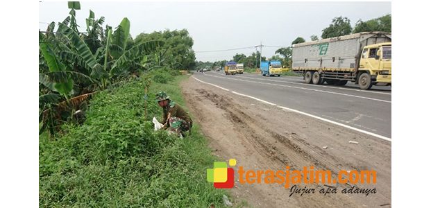 Kodim Mojokerto Lakukan Penyulaman Bibit Pohon di Ruas Jalan Nasional Kodim Mojokerto Lakukan Penyulaman Bibit Pohon di Ruas Jalan Nasional