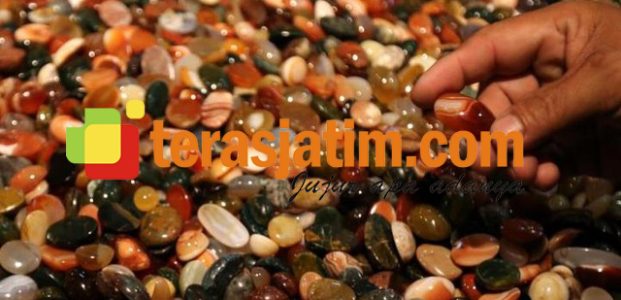 Sosialita Batu Akik Sosialita Batu Akik