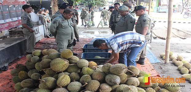 Razia PKL, Dapat Tangkapan 5 Ton Durian Razia PKL, Dapat Tangkapan 5 Ton Durian