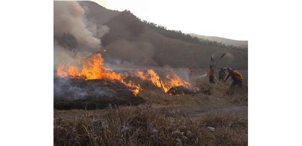 65 Hektar Savana di Gunung Bromo Terbakar 65 Hektar Savana di Gunung Bromo Terbakar