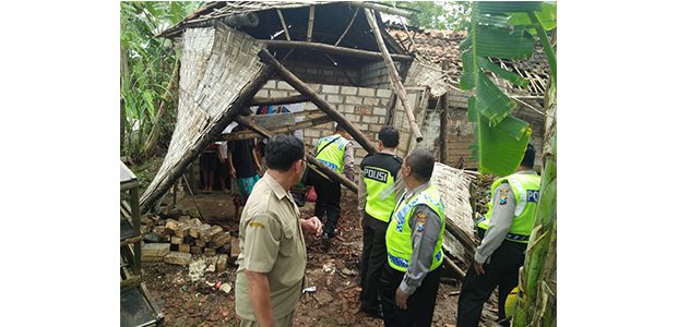 Angin Kencang di Pantura, Pohon Siwalan Tumbang Timpa 3 Rumah di Palang Tuban Angin Kencang di Pantura, Pohon Siwalan Tumbang Timpa 3 Rumah di Palang Tuban