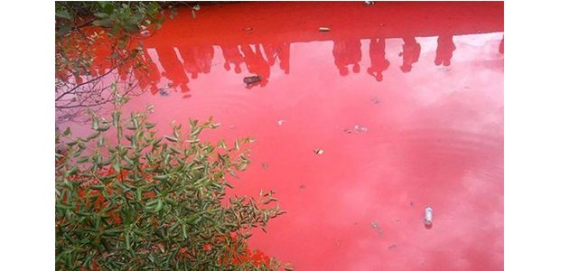 Air Sungai di Pesantren Kediri Mendadak Jadi Merah Darah Air Sungai di Pesantren Kediri Mendadak Jadi Merah Darah