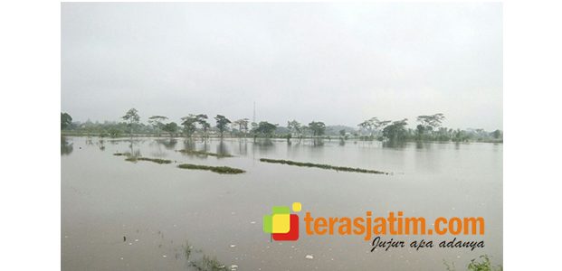 Tangkis di Gampengrejo Kediri Jebol, Puluhan Hektar Padi Kebanjiran Tangkis di Gampengrejo Kediri Jebol, Puluhan Hektar Padi Kebanjiran