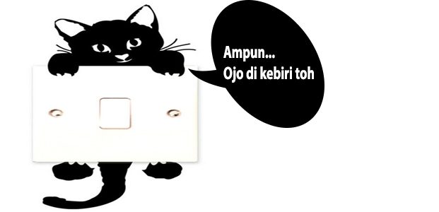 Kebiri untuk Kucing Garong Kebiri untuk Kucing Garong