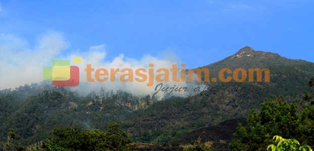 Gunung Arjuno Terbakar Gunung Arjuno Terbakar