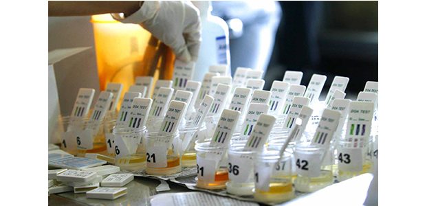 Anggota Dewan Akan Di Tes Urine ? Anggota Dewan Akan Di Tes Urine ?