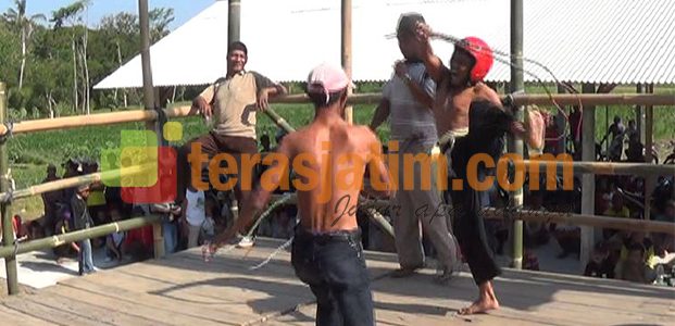 Cambuk Berdarah di Tradisi Tiban Cambuk Berdarah di Tradisi Tiban